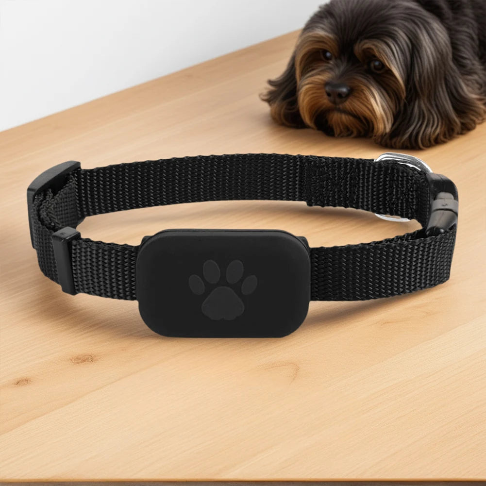 MOJOYCE Pet GPS Tracker With Adjustable Collar For Pets
