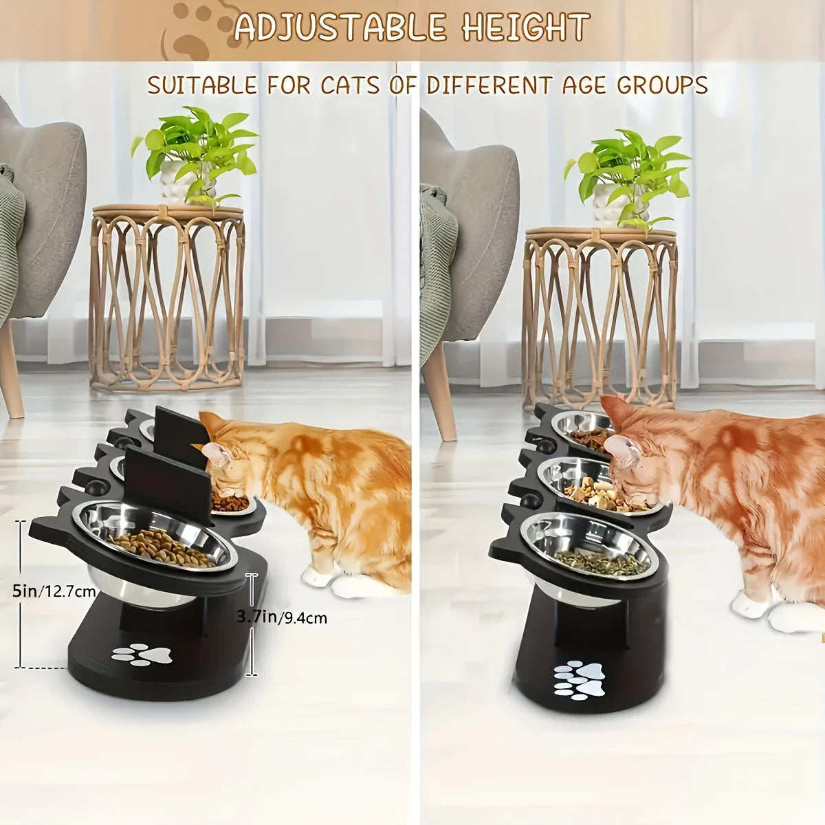 Raised Cat Food Bowls With Wooden Stand And Anti Vomiting Stainless Steel Bowls